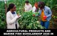 Agricultural Products and Marine Fish Scholarship 2025 in Hong Kong (Fully Funded)