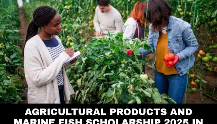 Agricultural Products and Marine Fish Scholarship 2025 in Hong Kong (Fully Funded)